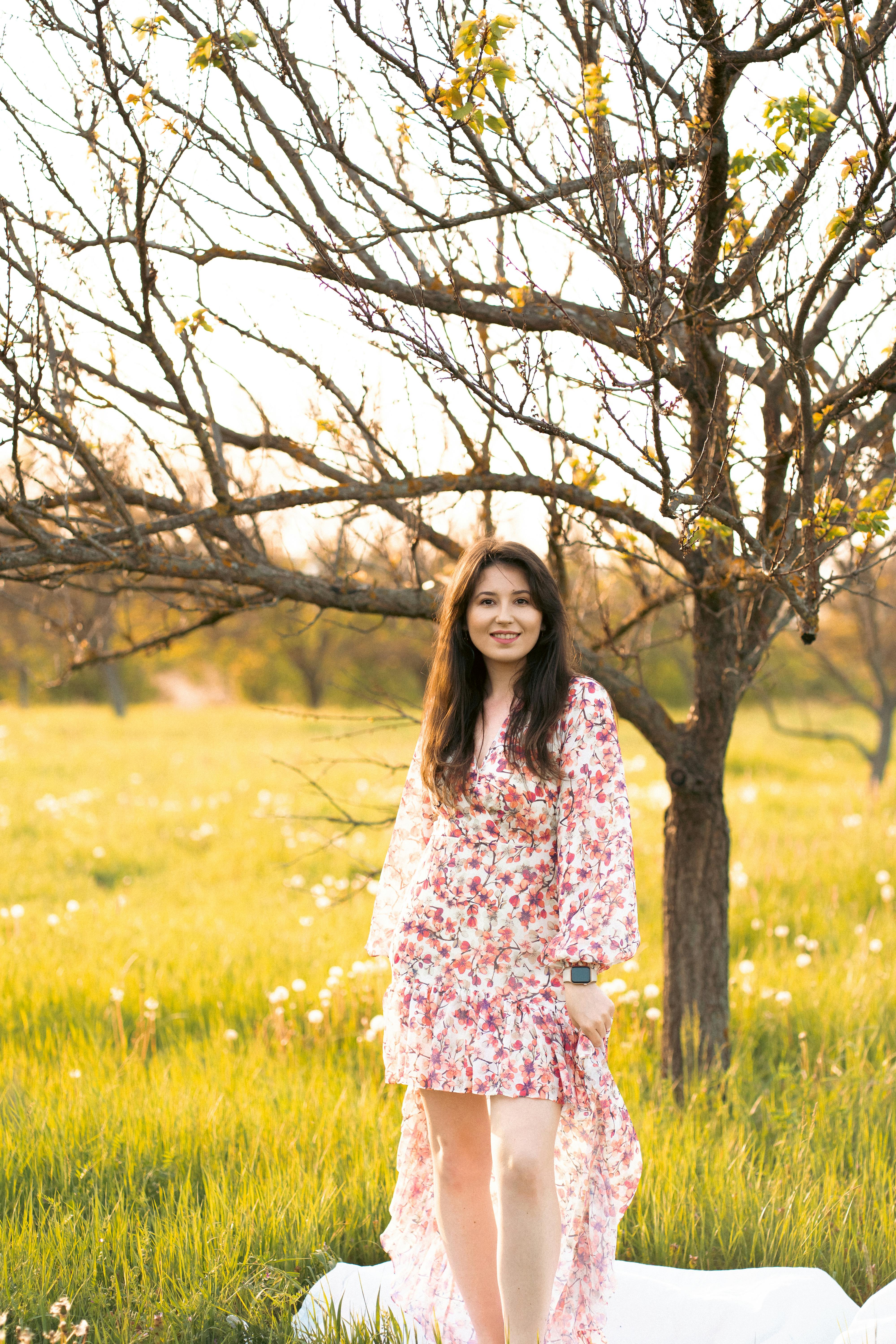 动漫：镜面药师海报